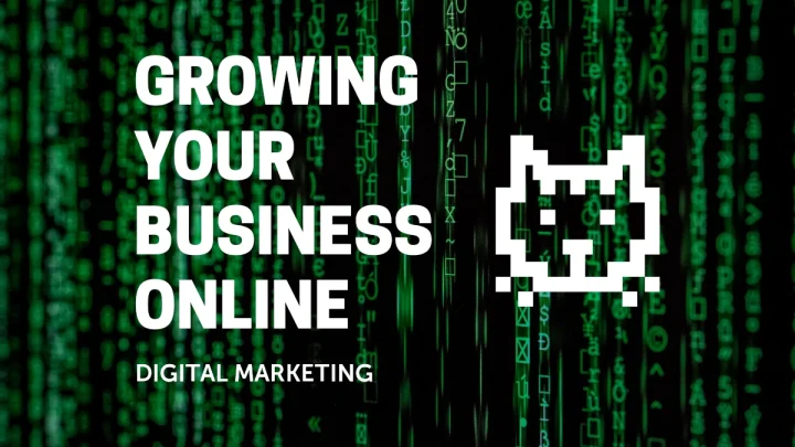 Growing Your Business Online